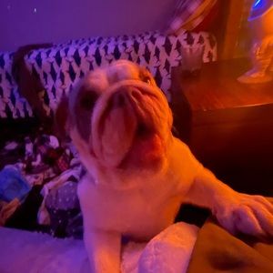 Meet your Posher, Isabella